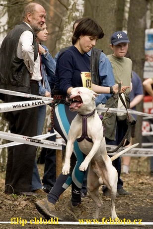 Polsko 2005 - 788.jpg